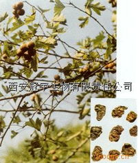 探索長(zhǎng)安縣植物提取物 比例提取物與天然香料的魅力