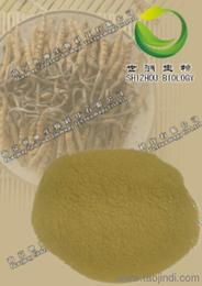 掌握市場(chǎng)動(dòng)向 植物提取物植物的價(jià)格走勢(shì)、優(yōu)質(zhì)廠家選擇與批發(fā)攻略及天然香料應(yīng)用展望