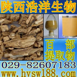 天然百部提取物 植物提取物供應(yīng)商的優(yōu)質(zhì)選擇