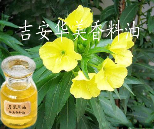 自然的力量 精油產(chǎn)品展廳中的植物提取物之旅