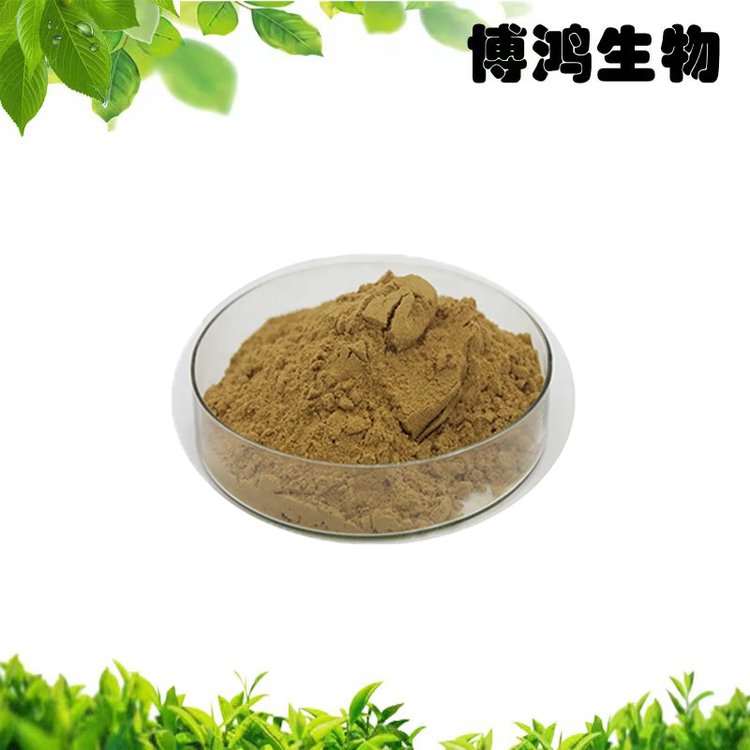 云芝提取物10:1 云芝粉 植物提取物 可免費(fèi)樣品 博鴻生物